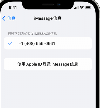 贵南apple维修iPhone上无法正常发送iMessage信息 