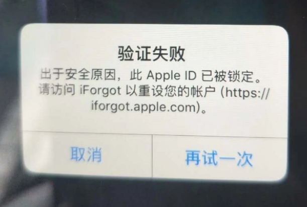 贵南iPhone维修分享iPhone上正常登录或使用AppleID怎么办 