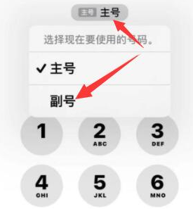 贵南苹果14维修店分享iPhone 14 Pro Max使用副卡打电话的方法 