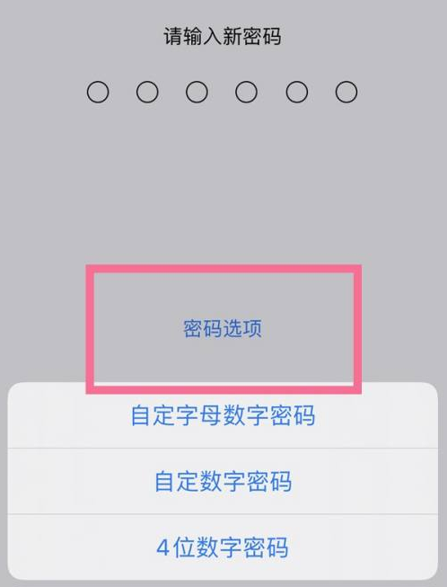 贵南苹果14维修分享iPhone 14plus设置密码的方法 