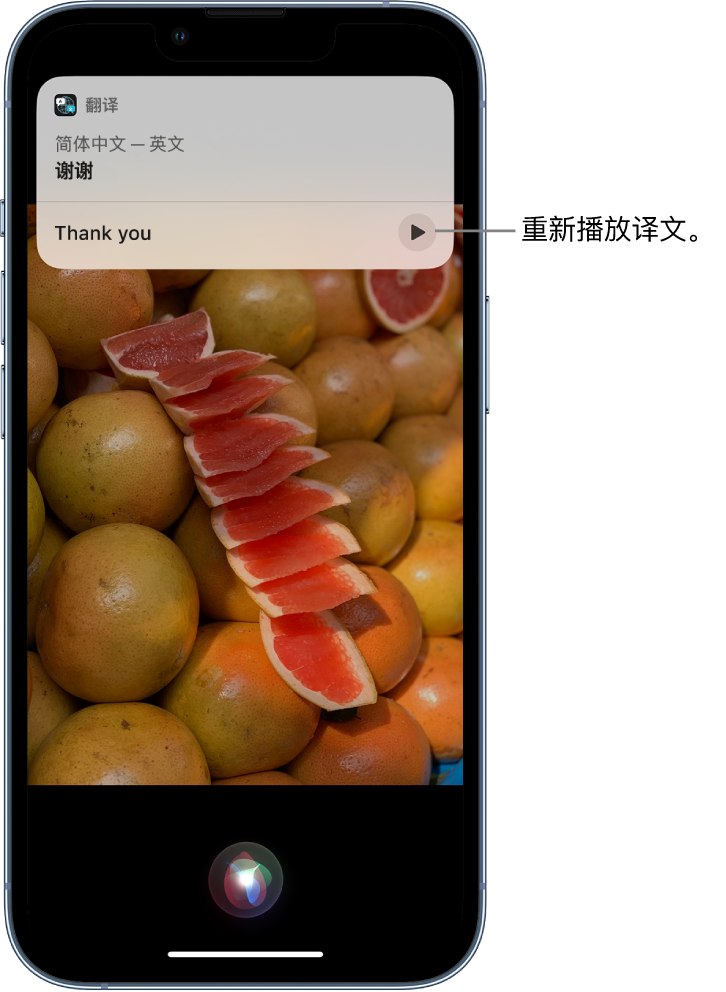 贵南苹果14维修分享 iPhone 14 机型中使用 Siri：了解 Siri 能帮你做什么 