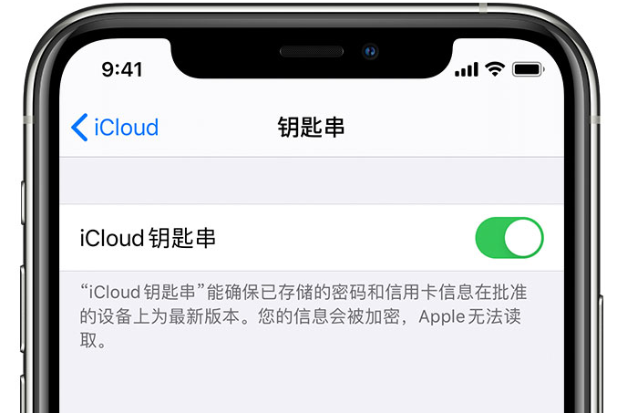 贵南苹果手机维修分享在 iPhone 上开启 iCloud 钥匙串之后会储存哪些信息 